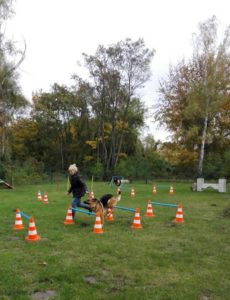 PSV Halle Hundesport (6)