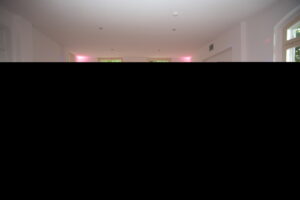 Hochzeit0001 (28)